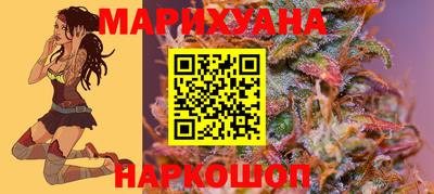 гидропоника Гатчина