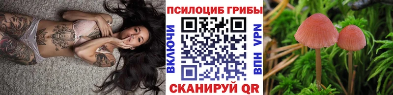 Галлюциногенные грибы ЛСД Гуково