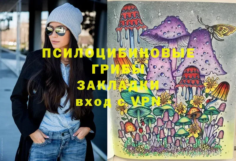 Галлюциногенные грибы Cubensis  Гуково 