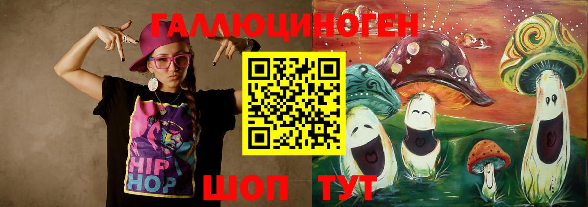 Галлюциногенные грибы Psilocybe  Гуково 