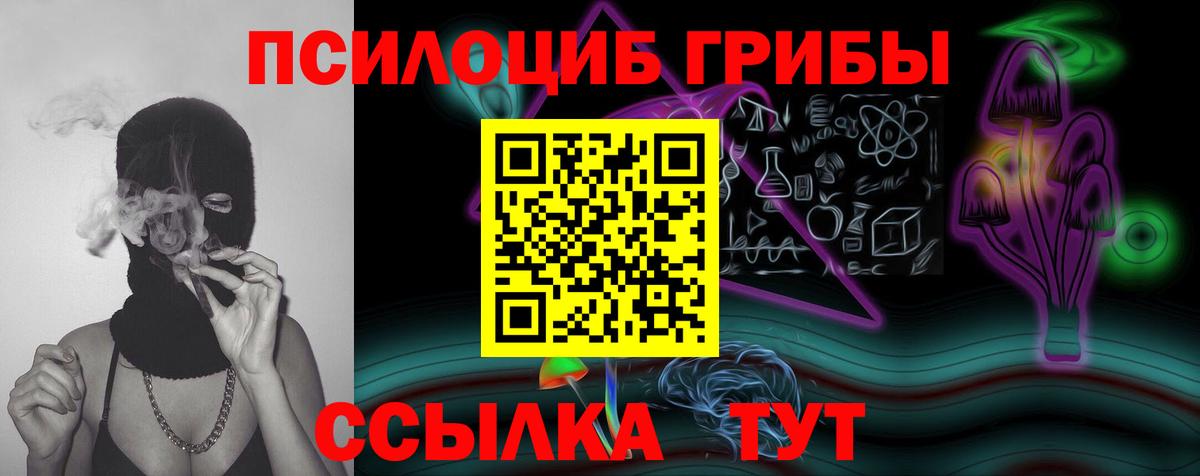 Гуково  как найти   Вход с VPN  Псилоцибиновые грибы MAGIC MUSHROOMS 